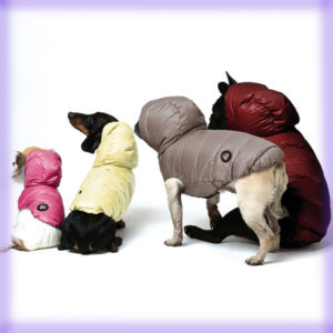 Outfit: La collezione di I Love My Dogs la trovi da Mon Petit Boutique