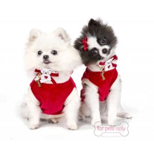 Prodotti dai migliori brand del fashion pet per cani e gatti Mon Petit Boutique