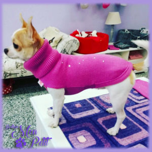 Outfit: Il maglioncino a collo alto di My Dog lo trovi da Mon Petit Boutique