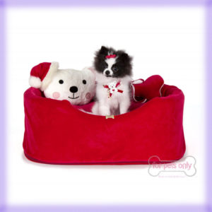 Casa: My Christmas Bear Sofa di For Pets Only la trovi da Mon Petit Boutique