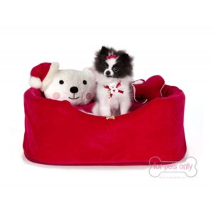 Mon Petit Boutique - Un Mondo di Coccole | Abbigliamento e Accessori per Cani delle Migliori Marche Italiane